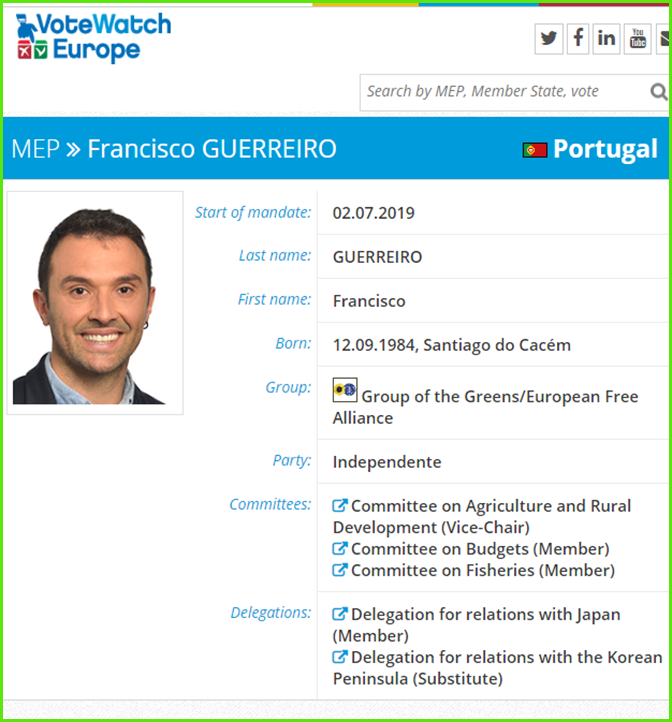 Vote Watch Europe